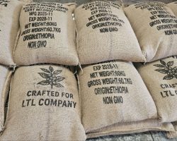 photo_2_2025-12-25_21-56-32